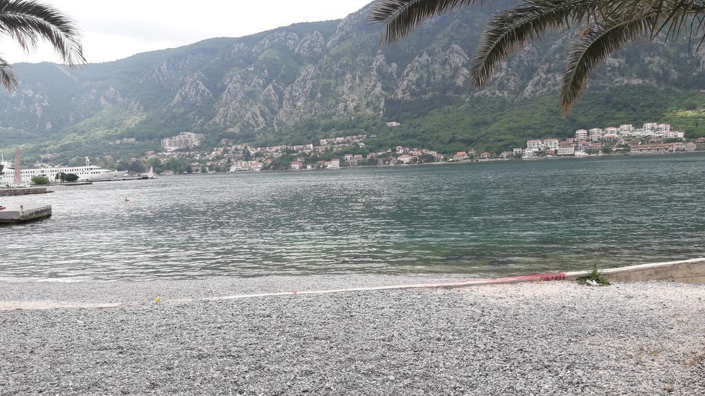 Apartment Todor Kotor Exteriér fotografie